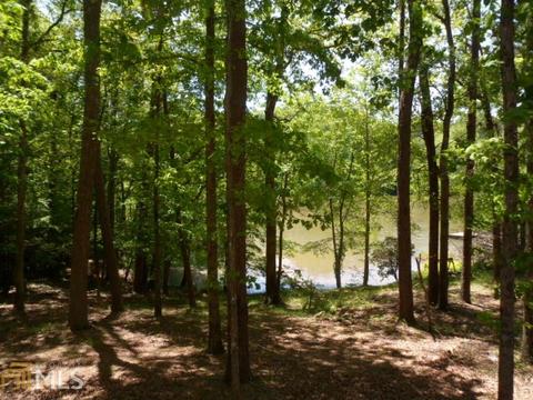 170 Greenock Cv, Toccoa, GA 30577 photo 15