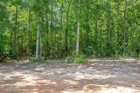 1167 Pebble Ridge Dr, Hampton, GA 30228 photo 36