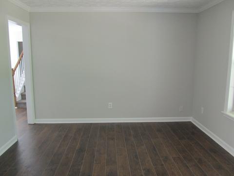 140 Mosby Crk, Hampton, GA 30228 photo 8