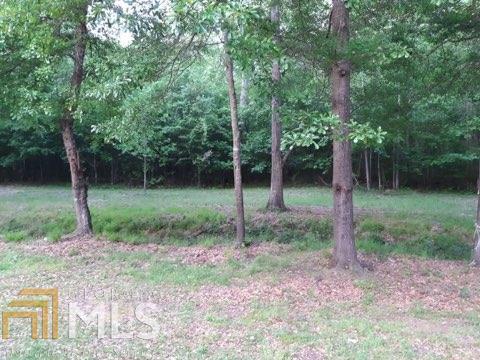 130 Cross Creek Way, Hampton, GA 30228 photo 31