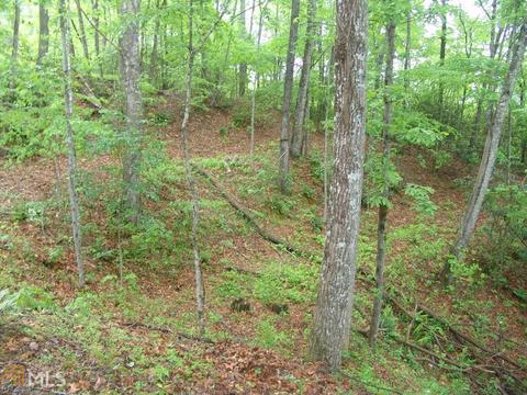 451 Summit Rd, Otto, NC 28763 photo 42