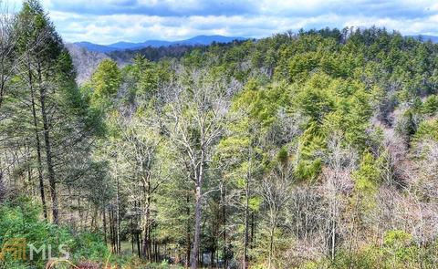 190 Crestview Ln, Cherry Log, GA 30522 photo 27