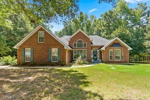 224 Garden Walk, Hampton, GA 30228 photo 2