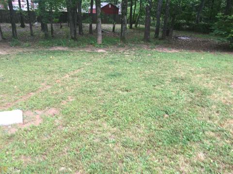 224 Garden Walk, Hampton, GA 30228 photo 47