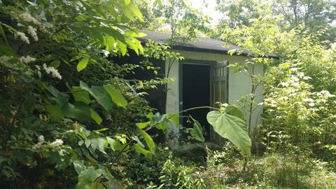 7271 Cave Spring Rd SW, Cave Spring, GA 30124 photo 4