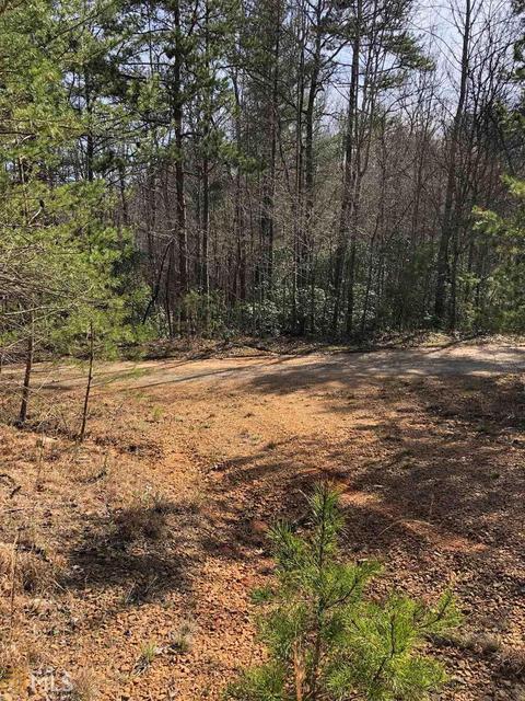 857 Mitchell Br, Morganton, GA 30560 photo 7