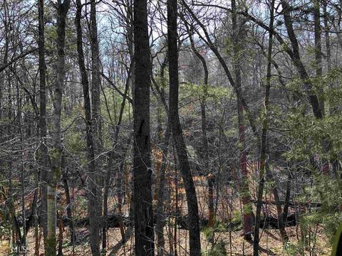 857 Mitchell Br, Morganton, GA 30560 photo 10