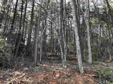 857 Mitchell Br, Morganton, GA 30560 photo 14
