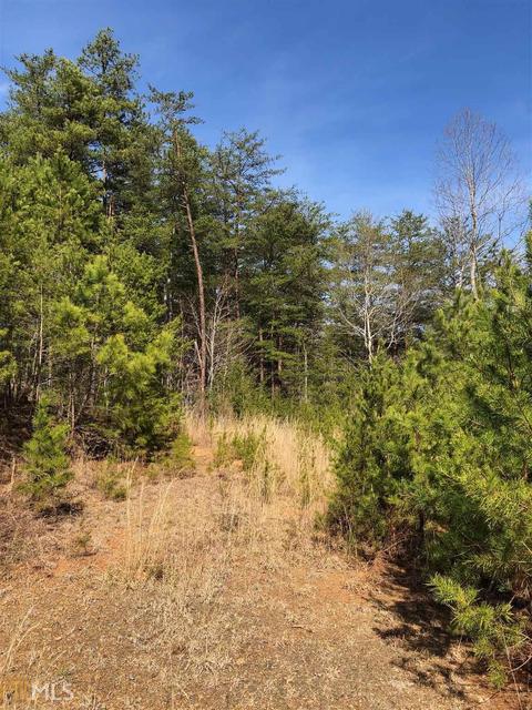 857 Mitchell Br, Morganton, GA 30560 photo 6