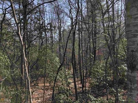 857 Mitchell Br, Morganton, GA 30560 photo 13