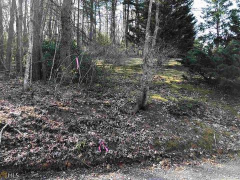 857 Mitchell Br, Morganton, GA 30560 photo 15