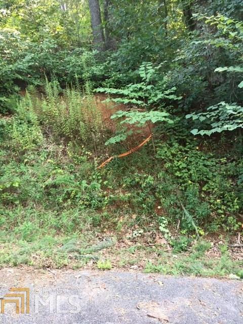 857 Mitchell Br, Morganton, GA 30560 photo 19