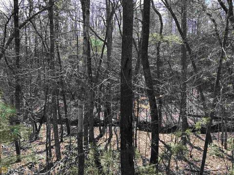 857 Mitchell Br, Morganton, GA 30560 photo 9