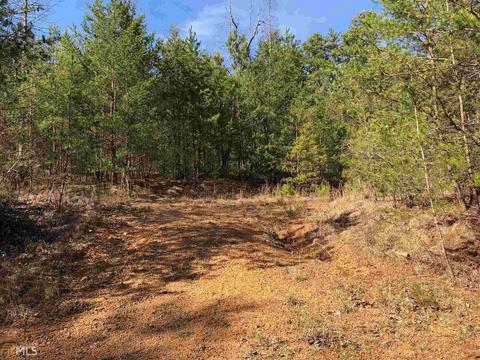 857 Mitchell Br, Morganton, GA 30560 photo 11