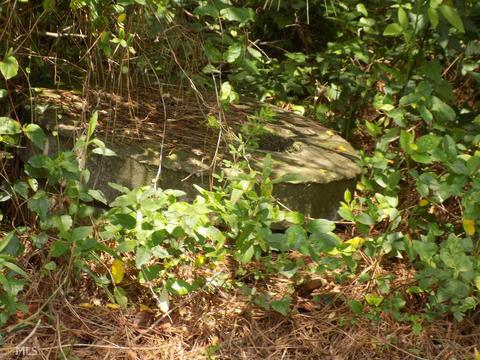 1833 Cole Rd, Carnesville, GA 30521 photo 10