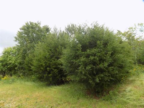 1833 Cole Rd, Carnesville, GA 30521 photo 6
