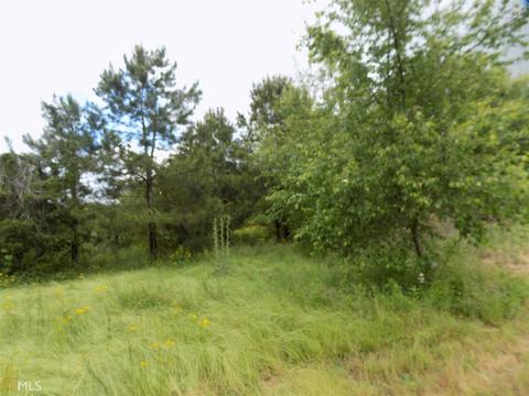 1833 Cole Rd, Carnesville, GA 30521 photo 5