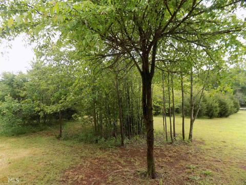 1833 Cole Rd, Carnesville, GA 30521 photo 3