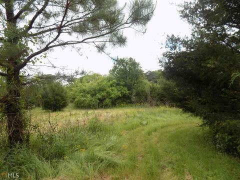 1833 Cole Rd, Carnesville, GA 30521 photo 4