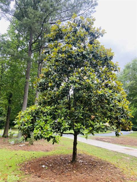 144 Olde Hampton Way, Hampton, GA 30228 photo 37