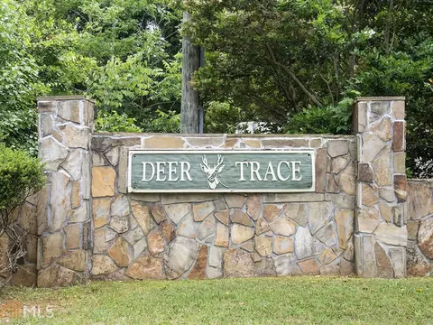 271 Deer Trce, Mcdonough, GA 30253 photo 52