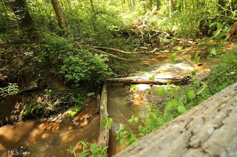 2050 Mcfarlin Bridge Rd, Carnesville, GA 30521 photo 33