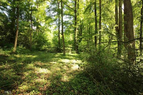 2050 Mcfarlin Bridge Rd, Carnesville, GA 30521 photo 35