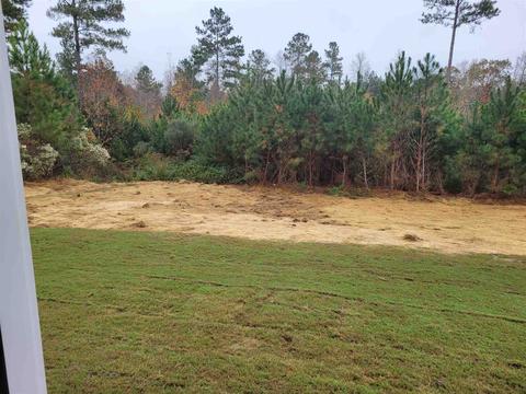 427 White Pines Dr, Jackson, GA 30233 photo 9
