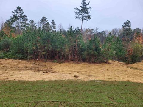 427 White Pines Dr, Jackson, GA 30233 photo 7