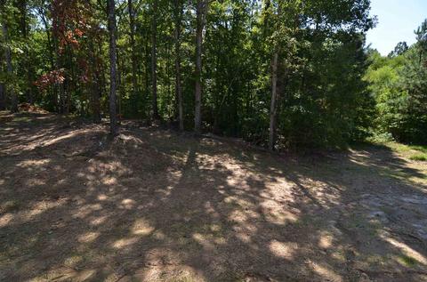168 Stable View Loop, Dallas, GA 30132 photo 39