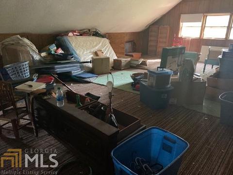 10063 Lavonia Rd, Carnesville, GA 30521 photo 15