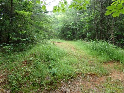 227 Flash Pine Ln, Toccoa, GA 30577 photo 32