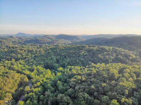45 Chubby Smith Rd, Toccoa, GA 30577 photo 71