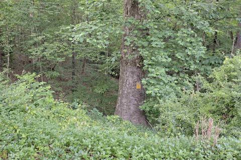 45 Chubby Smith Rd, Toccoa, GA 30577 photo 44