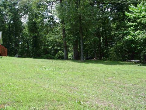 184 Spring Dr, Calhoun, GA 30701 photo 60