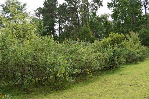 433 Highway 46 W, Lyons, GA 30436 photo 7