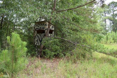 433 Highway 46 W, Lyons, GA 30436 photo 68