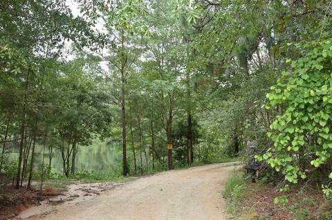433 Highway 46 W, Lyons, GA 30436 photo 4
