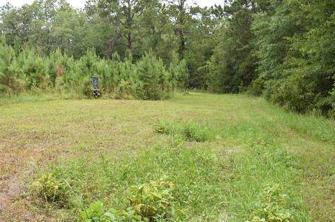 433 Highway 46 W, Lyons, GA 30436 photo 65