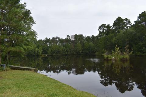 433 Highway 46 W, Lyons, GA 30436 photo 60
