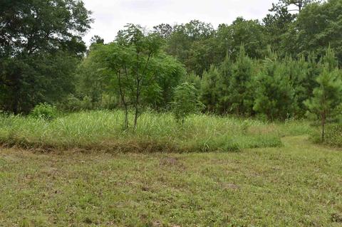 433 Highway 46 W, Lyons, GA 30436 photo 66