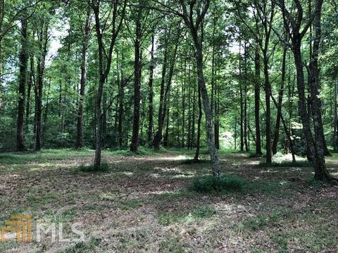 3955 Ridgeway Rd, Franklin, GA 30217 photo 23