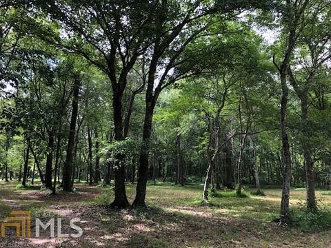 3955 Ridgeway Rd, Franklin, GA 30217 photo 3