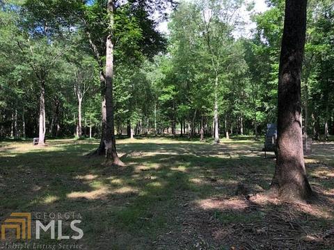 3955 Ridgeway Rd, Franklin, GA 30217 photo 20