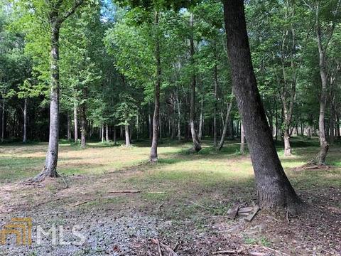 3955 Ridgeway Rd, Franklin, GA 30217 photo 13