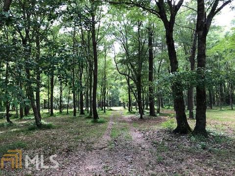 3955 Ridgeway Rd, Franklin, GA 30217 photo 6