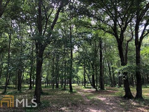 3955 Ridgeway Rd, Franklin, GA 30217 photo 4