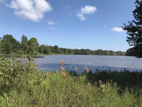 1627 County Road 92, Cedar Bluff, AL 35959 photo 35