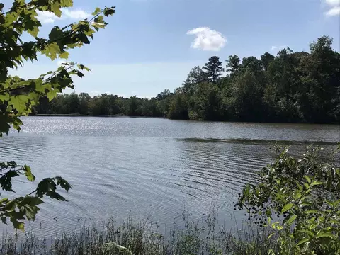 1627 County Road 92, Cedar Bluff, AL 35959 photo 36
