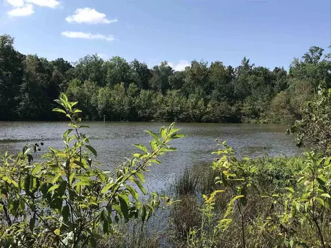 1627 County Road 92, Cedar Bluff, AL 35959 photo 37